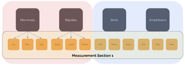 Measurement Section