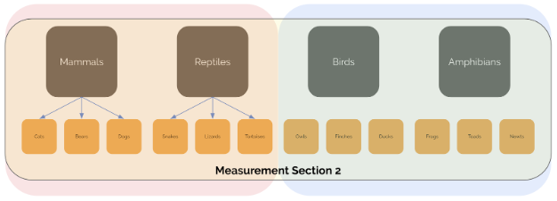 Measurement Section 2