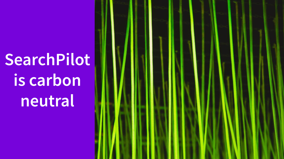 SearchPilot is carbon neutral and supporting the path to net zero