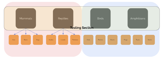 Testing Section